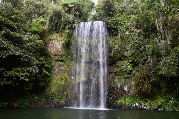 Wasserfall Millaa Millaa in den Atherton Tablelands, Australien