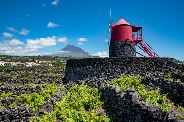 Windmühle Moinho de Frado mit Blick auf den Pico