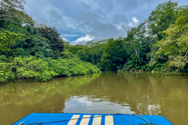 Bootstour im Fechtgebiet Caño Negro