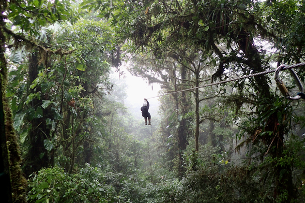 Zipline im Selvatura Park von Monteverde, Costa Rica