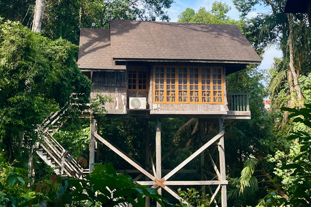 Baumhaus im Permai Rainforest Resort in Sarawak, Malaysia