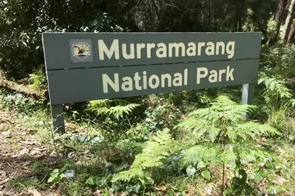 4332922E A65A 4579 BA50 4C45C9EF4BC7