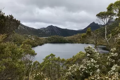 BBC8D02B C236 4275 8013 B0C754FE0319