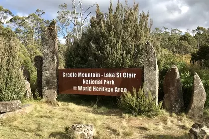 BBC8D02B C236 4275 8013 B0C754FE0319