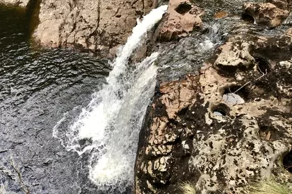 BBC8D02B C236 4275 8013 B0C754FE0319