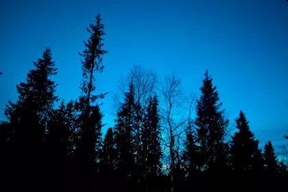 Nordlichter und Schneemobil Tour 17