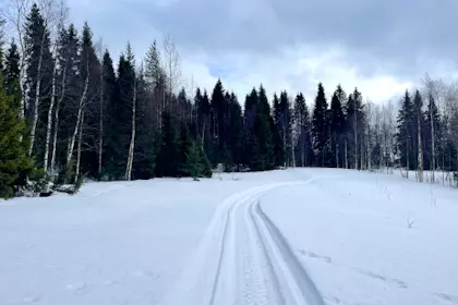 Nordlichter und Schneemobil Tour 23