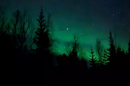 Rovaniemi 142