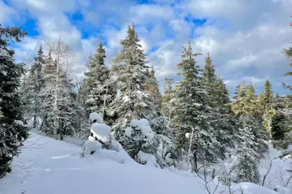 Ruka 07