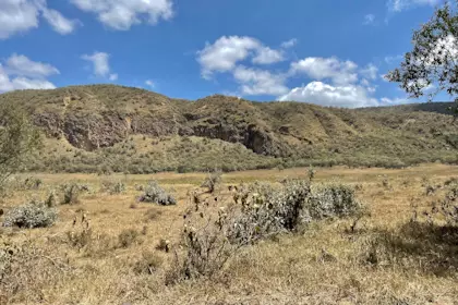 Hells Gate 29