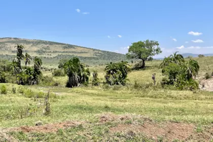 Masai Mara 39
