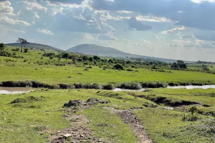 Masai Mara 62