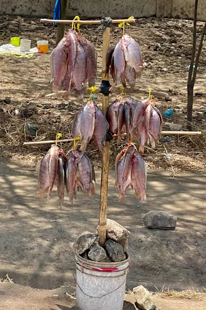 Tansania 54