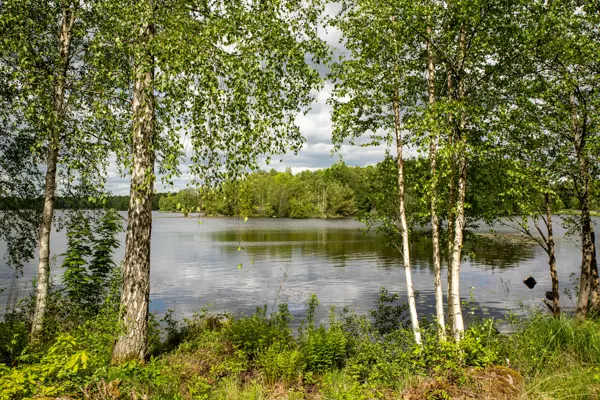 Seenlandschaft am Hönshyltefjorden in Schweden