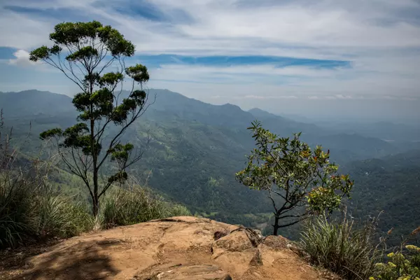 Ausblick vom Ella Rock ins Hochland von Sri Lanka