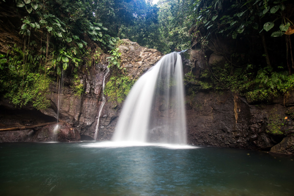 Gigantische Wasserfälle, wie die Cascade aux Ecrevisses, wilder Urwald und karibische Unterwasserwelten – das ist Guadeloupe Basse-Terre