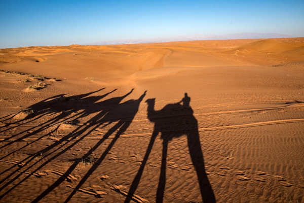 Mit den Kamelen durch die Wüste Wahiba Sands, auch Rimal Al Wahiba genannt, Oman