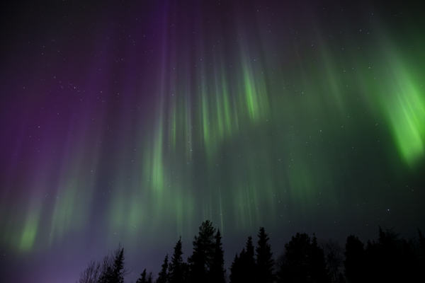 Nordlichter bei Ruka in Lappland, Finnland
