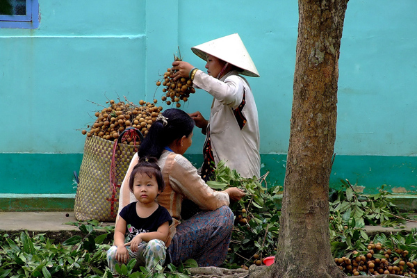 Bäuerin verkauft ihre Früchte im Mekongdelta, Vietnam